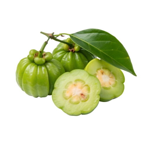garcinia.png